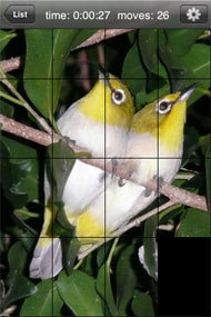 Completed puzzle