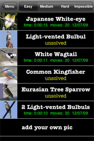 Small birds puzzle list