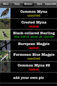 Myna/Magpie puzzle list