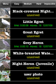 Big birds puzzle list