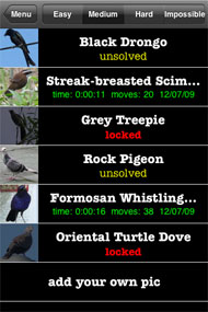 Other birds puzzle list
