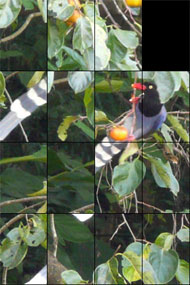 Full-screen puzzle