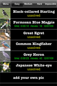 Bird puzzle list