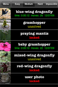 Insect puzzle list