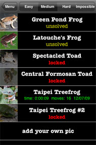 Frog puzzle list