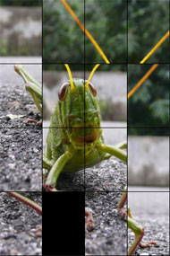 Full-screen puzzle