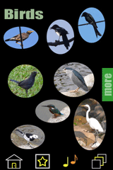Birds Menu