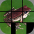 aQs Pro Slider Puzzle: iLove Nature